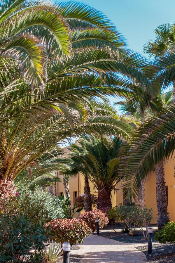 Fuerteventurapartments Corralejo Bagian luar foto