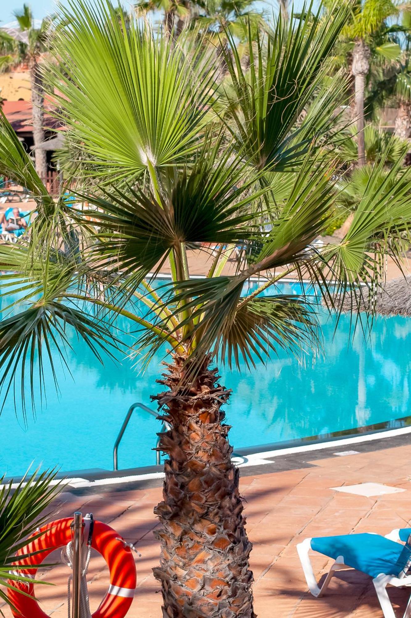 Fuerteventurapartments Corralejo Bagian luar foto